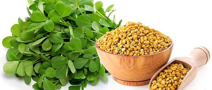 خواص شنبلیله
