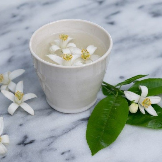 بهار نارنج و خواص شگفت انگیز آن برای تنظیم فشار خون و چاقی