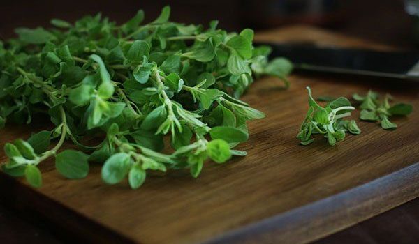 نحوه مصرف صحیح قرص گیاهی مرزنجوش