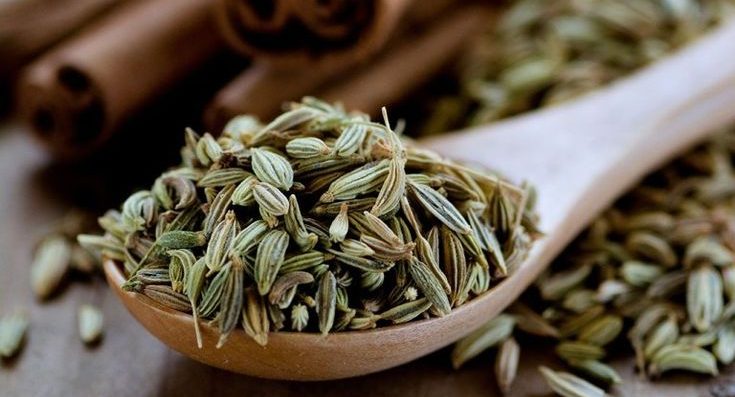 نقش قرص رازیانه در بهبود سلامت کلی بدن و افزایش انرژی